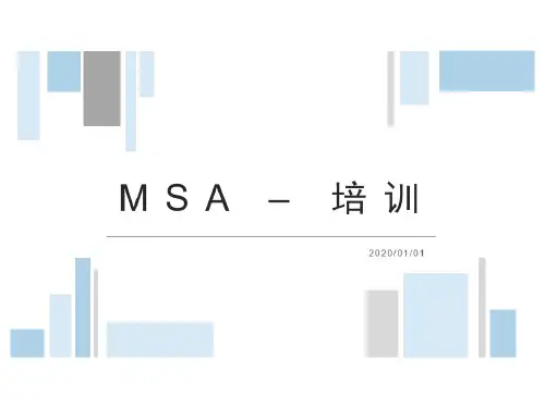 MSA培训教材
