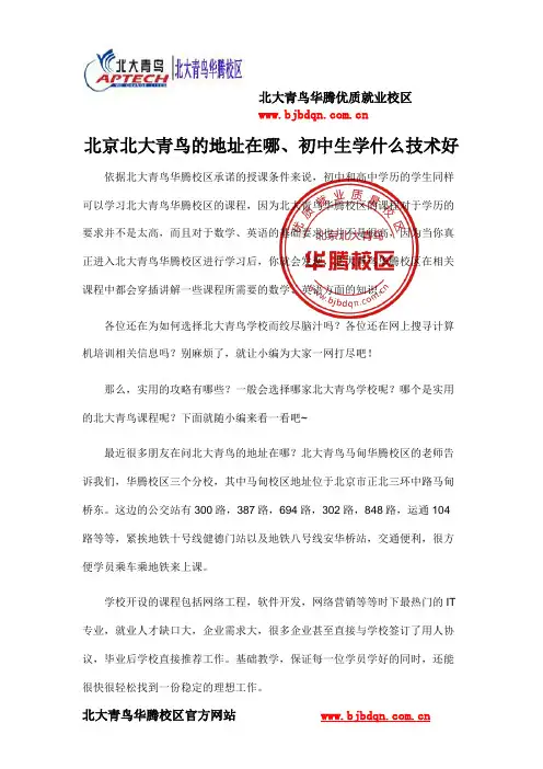 北京北大青鸟的地址在哪、初中生学什么技术好