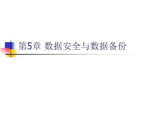 数据安全与数据备份