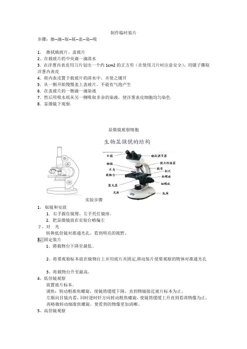 实验光学显微镜观察