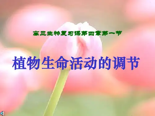 植物生命活动的调节基本概念