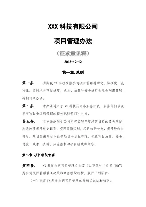 信息化企业项目管理办法