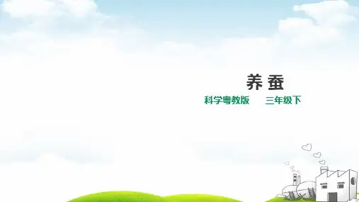 三年级下册科学优品课件第一单元《养蚕》粤教版