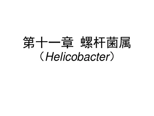 第11章 螺杆菌属