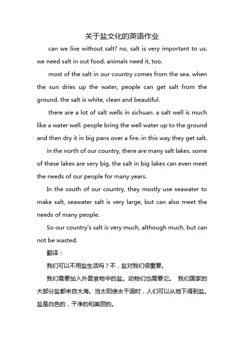 关于盐文化的英语作业