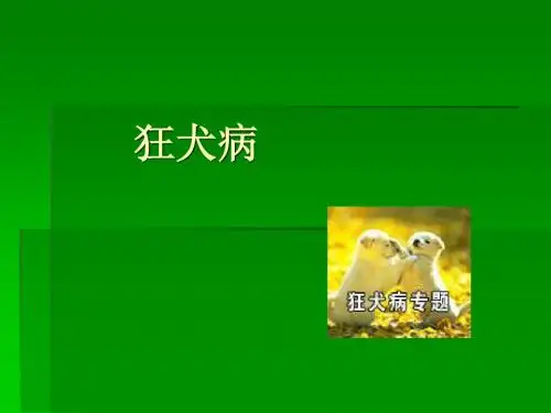 狂犬病