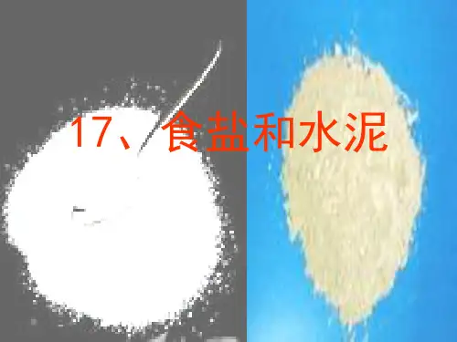 六年级科学上册食盐和水泥PPT课件4