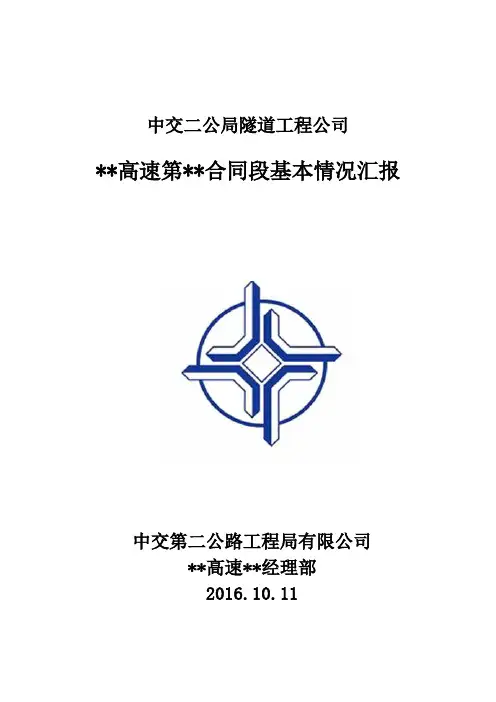 项目基本情况汇报