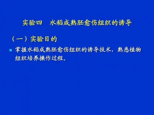 植物组织培养实验(4)