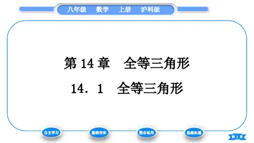 沪科版八年级数学上第14章全等三角形14