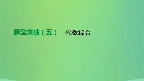 北京市2019年中考数学总复习题型突破05代数综合