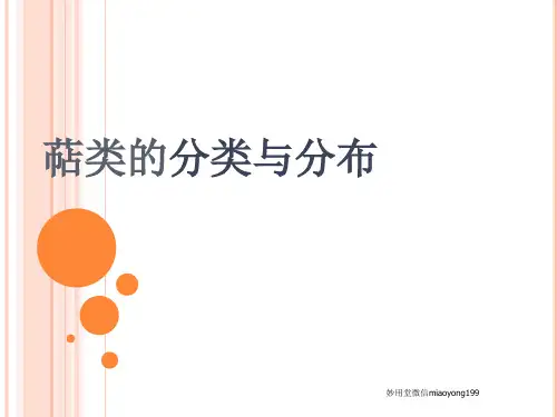 萜类的分类与分布PPT课件
