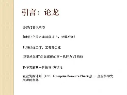 ERP进度报告会