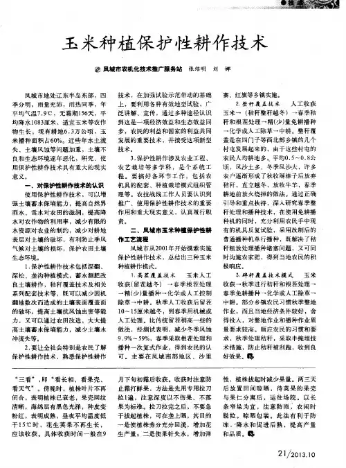 玉米种植保护性耕作技术