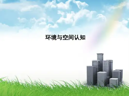 环境心理学的理论 ppt课件
