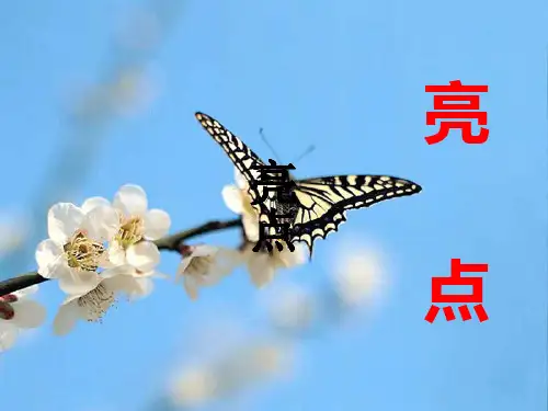 作文如何有亮点PPT课件