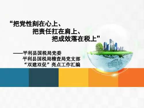 稽查局党建工作亮点汇编