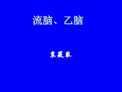 流脑乙脑