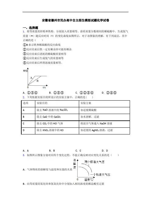 安徽省滁州市民办高中自主招生模拟试题化学试卷