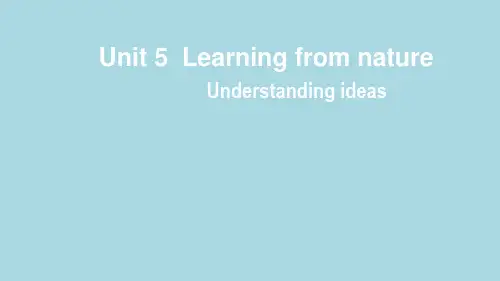 2019外研版高中英语选择性必修三Unit5 Using language  (2)