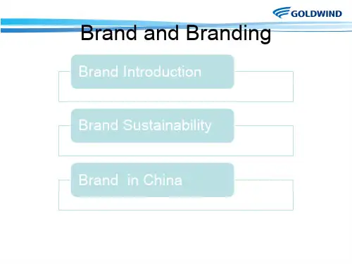 Brand and Branding品牌