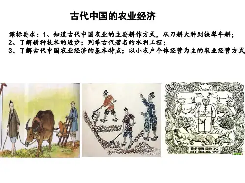 夏商周的政治制度