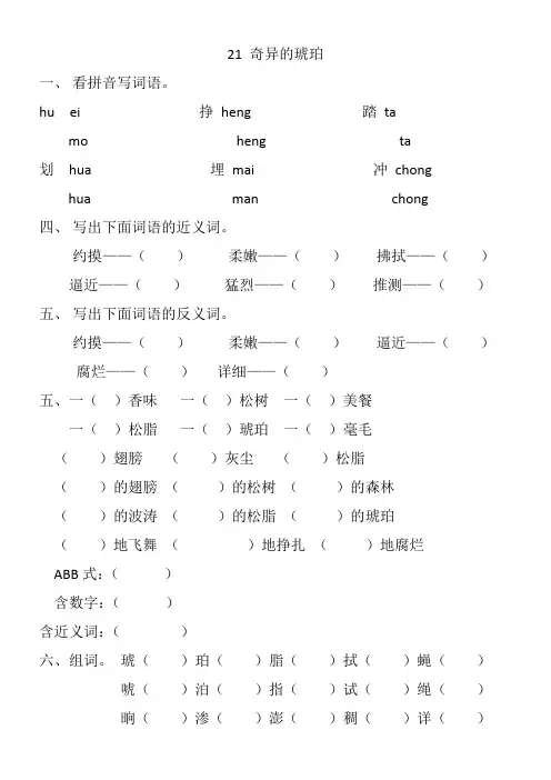 21奇异的琥珀