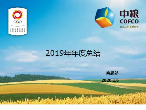 商超19年工作总结