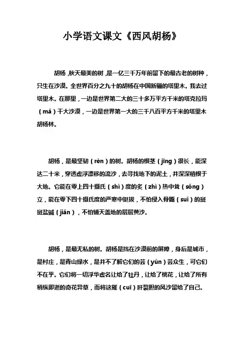小学语文课文《西风胡杨》