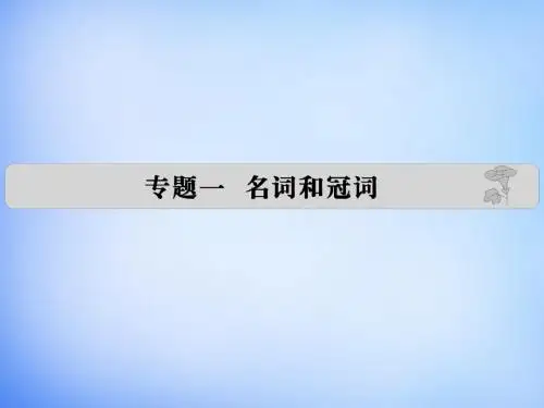 2016届高考英语 专题一 名词和冠词课件