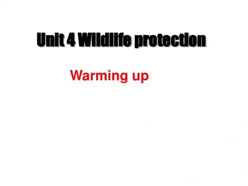 高一英语warm-up课件