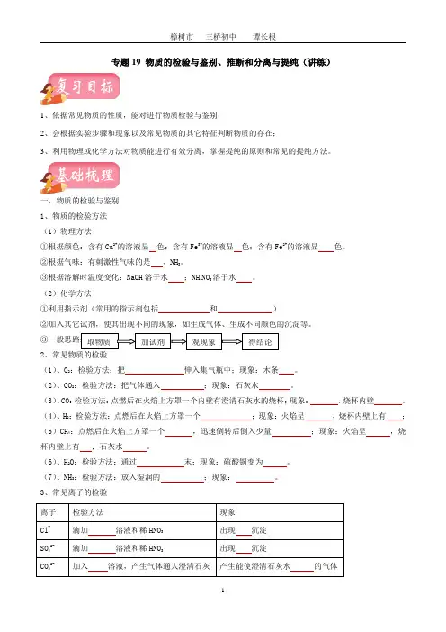 专题19 物质的检验与鉴别、推断和分离与提纯(讲练)(原卷版)