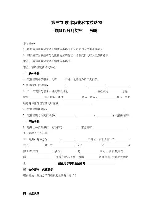 软体动物和节肢动物肖鹏