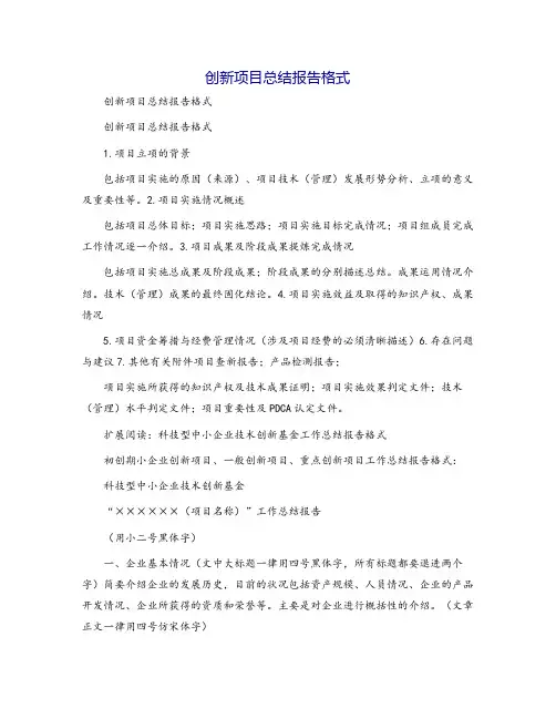 创新项目总结报告格式