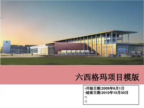 精益六西格玛项目模板(最全)