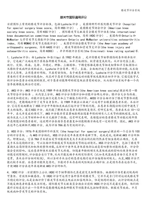 膝关节评分系统