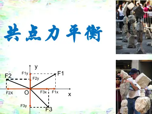 共点力平衡专题