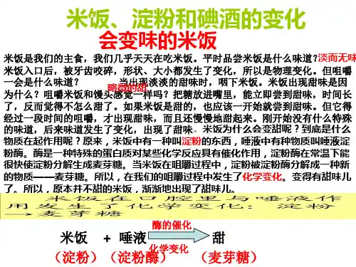 六年级科学下册第二单元第3课米饭淀粉碘酒的变化