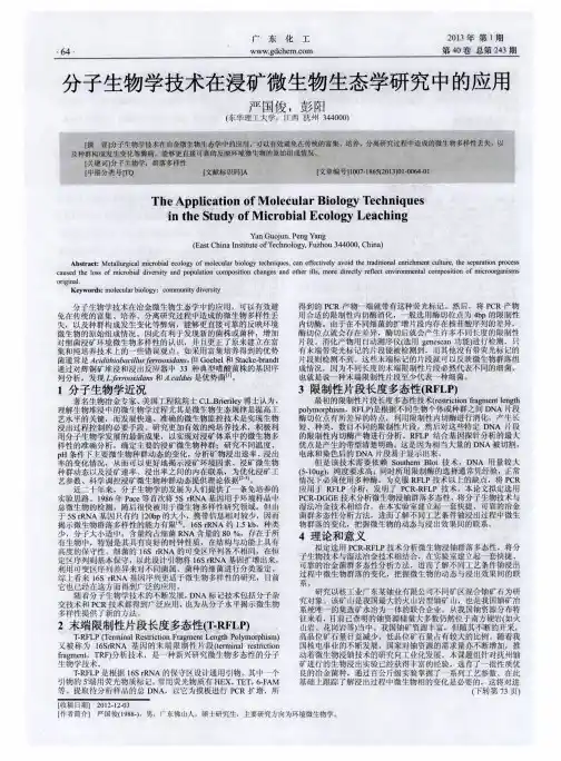 分子生物学技术在浸矿微生物生态学研究中的应用