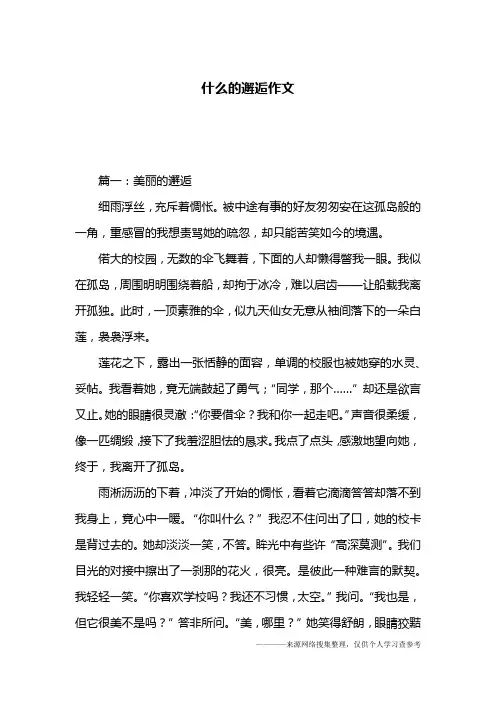 什么的邂逅作文