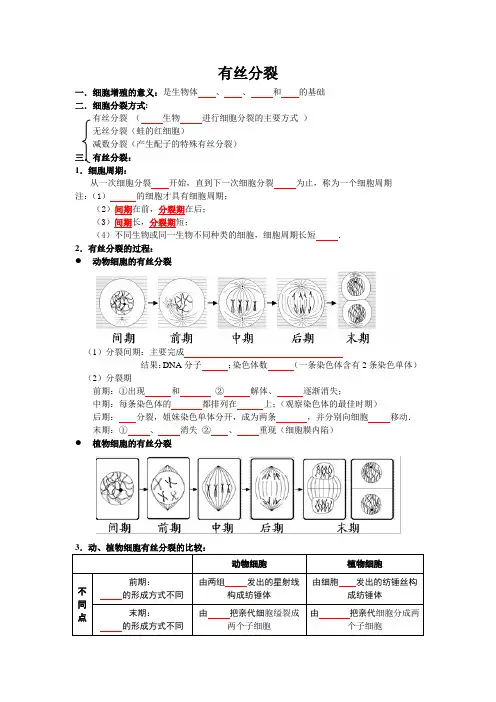 有丝分裂和减数分裂