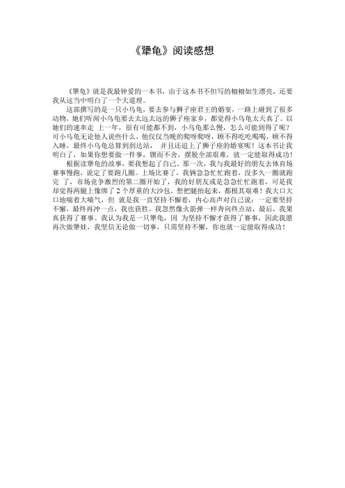 《犟龟》阅读感想