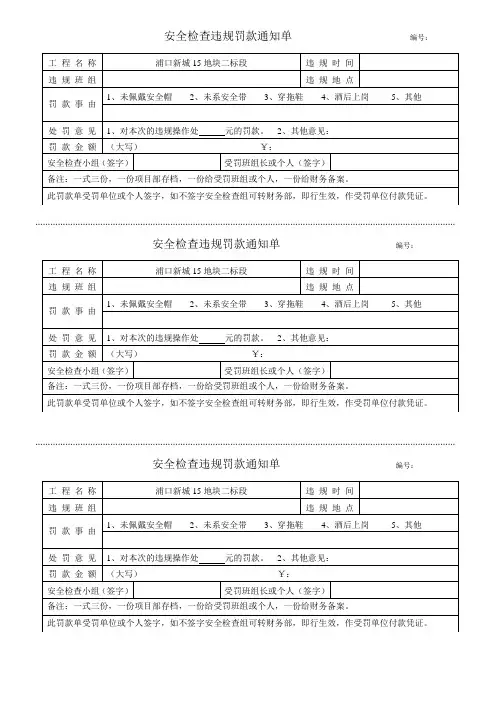 安全检查违规罚款单