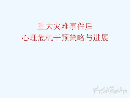 重大灾难事件后心理危机干预策略与进展