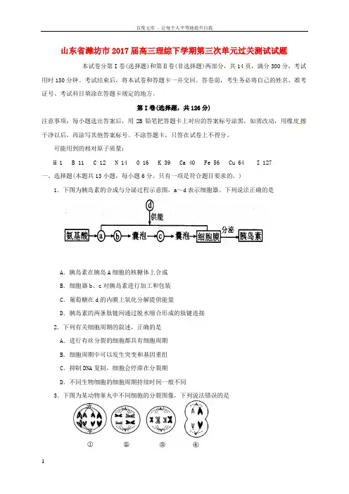 山东省潍坊市2017届高三理综下学期第三次单元过关测试试题