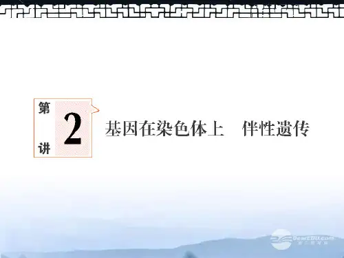 高考生物一轮复习 2 基因在染色体上和伴性遗传课件 新人教版必修2