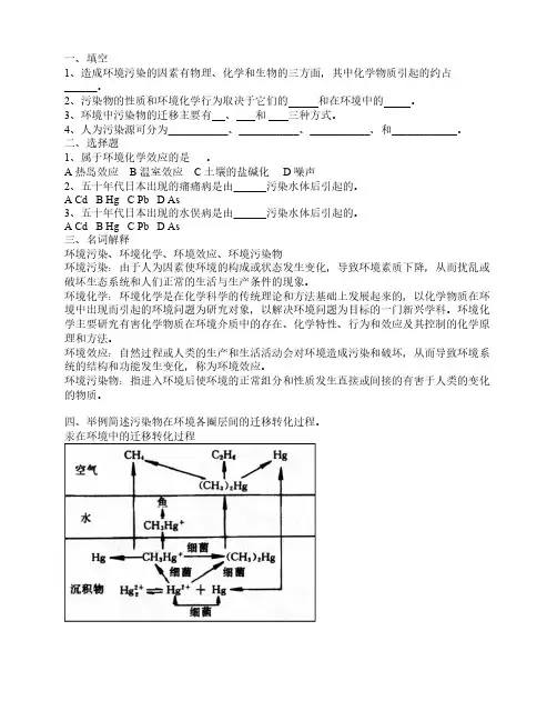 环境化学试题