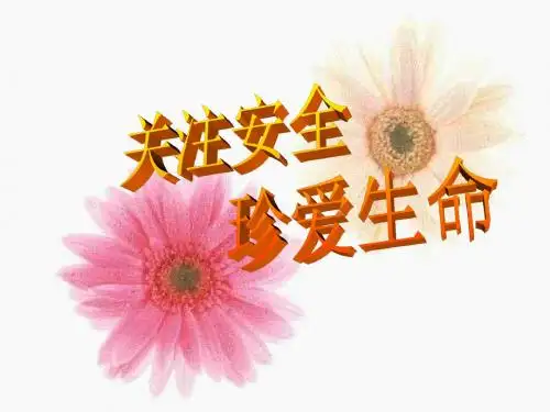 安全教育主题班会