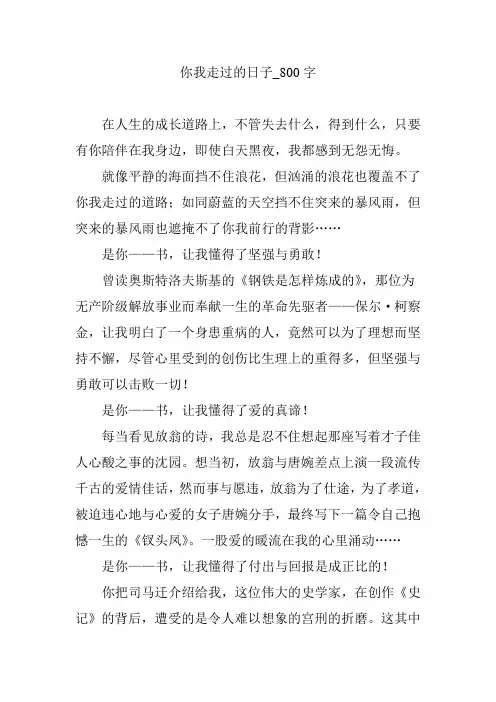你我走过的日子_800字