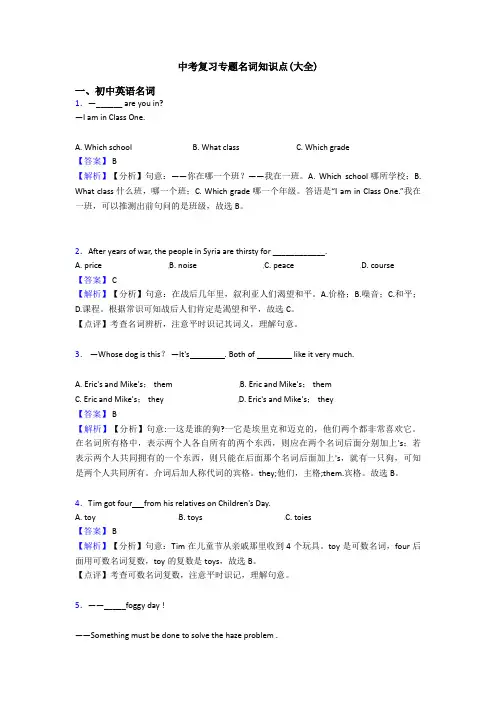 中考复习专题名词知识点(大全)